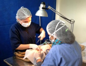 operacion