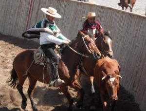 dc rodeo