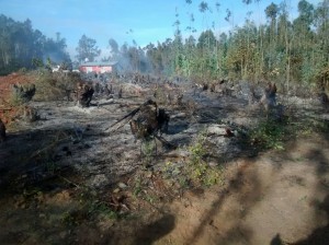 incendio forestal camino la polvora