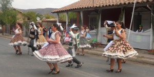 porta raza