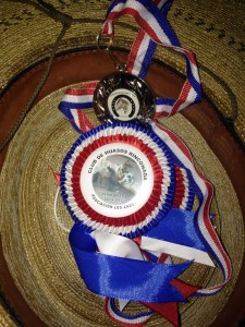 Tapia premio